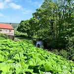 Mill House * Hawnby