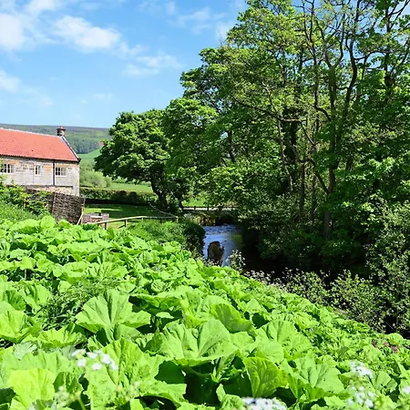 Mill House * Hawnby